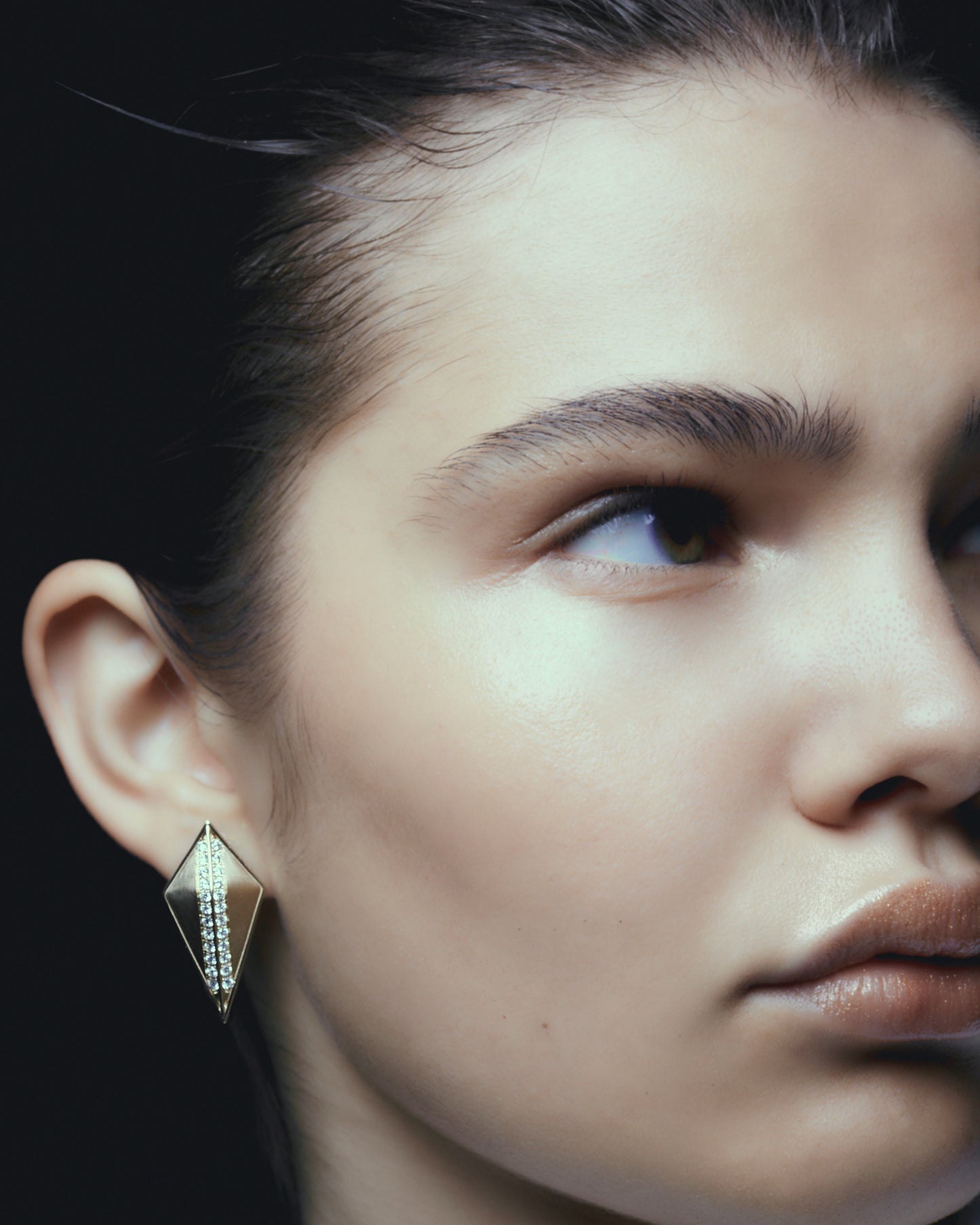 Eclipse Diamond Earrings